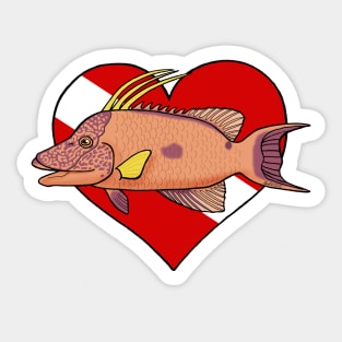 Hogfish Diver Sticker